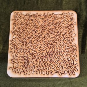 Wooden Puzzle Amoeba